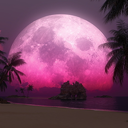 Planetscape in the tropics with palm trees - Gaia Dream Creation