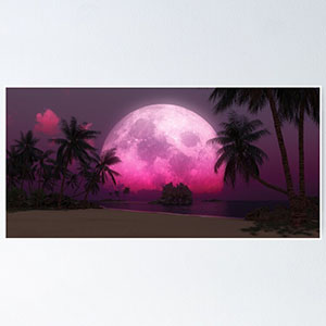 Planetscape in the tropics with palm trees - Posters